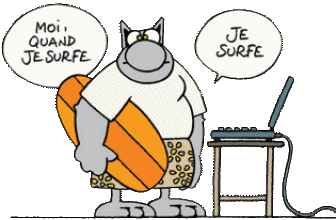 le chat