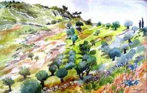 Slope with Olive Trees