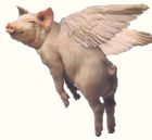 flying pig, image du blog de Yehuda