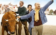 la vache